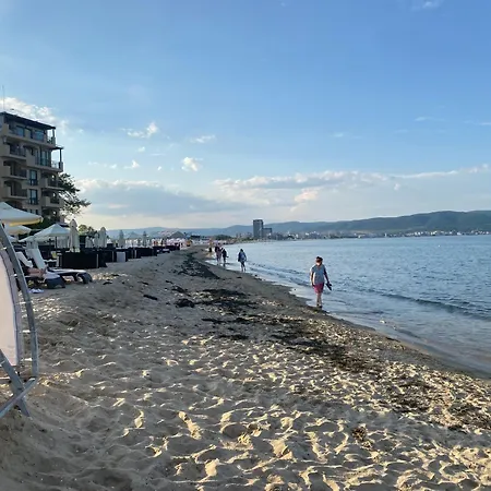 Sunny View 3401 Sunny